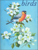 birds