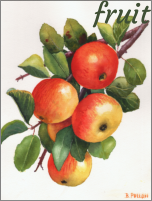 fruit