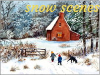 snow scenes
